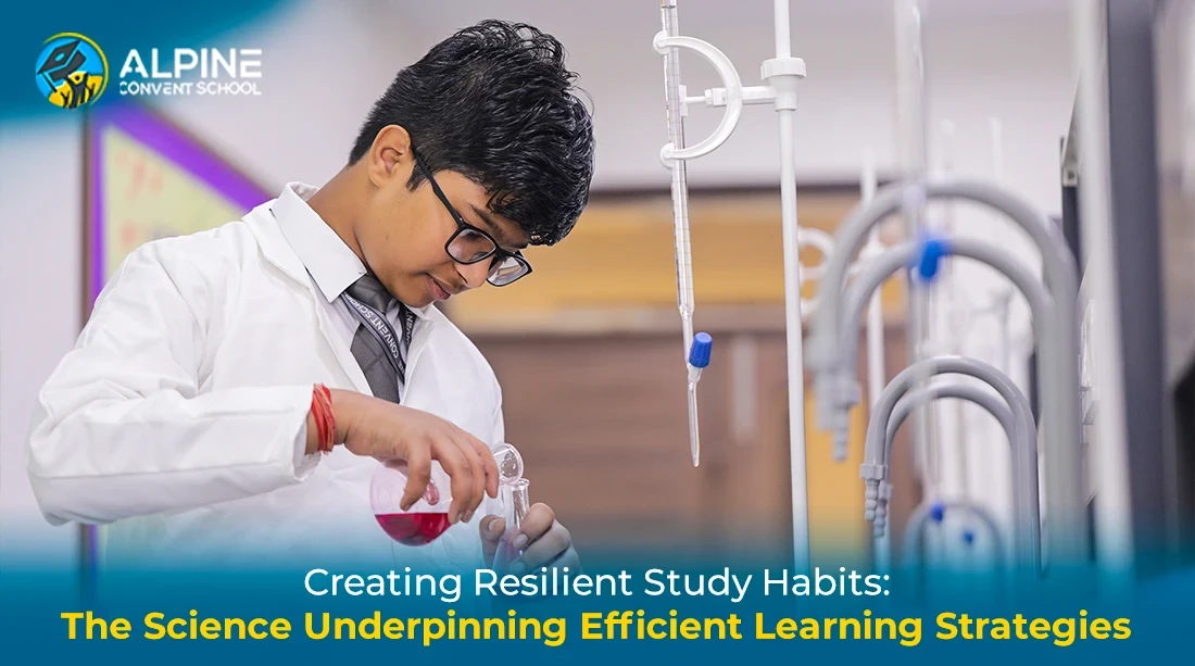 Creating Resilient Study Habits: The Science Underpinning Efficient Learning Strategies